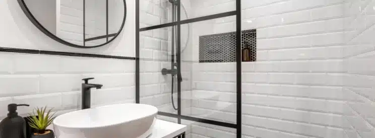 Fixture &amp; Toilet Repair