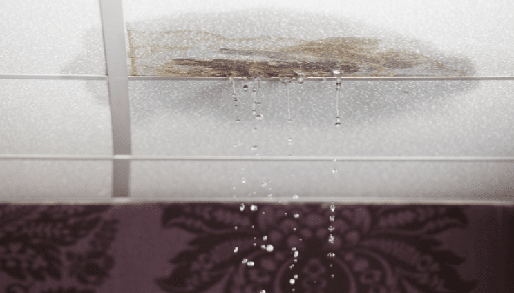 Water Leak Detection Uptown IL
